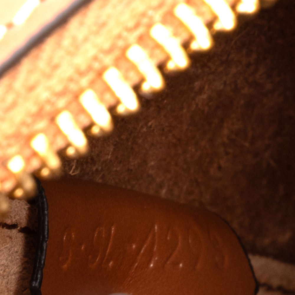 Celine Triomphe Oval Crossbody Small - Picture 11 of 11